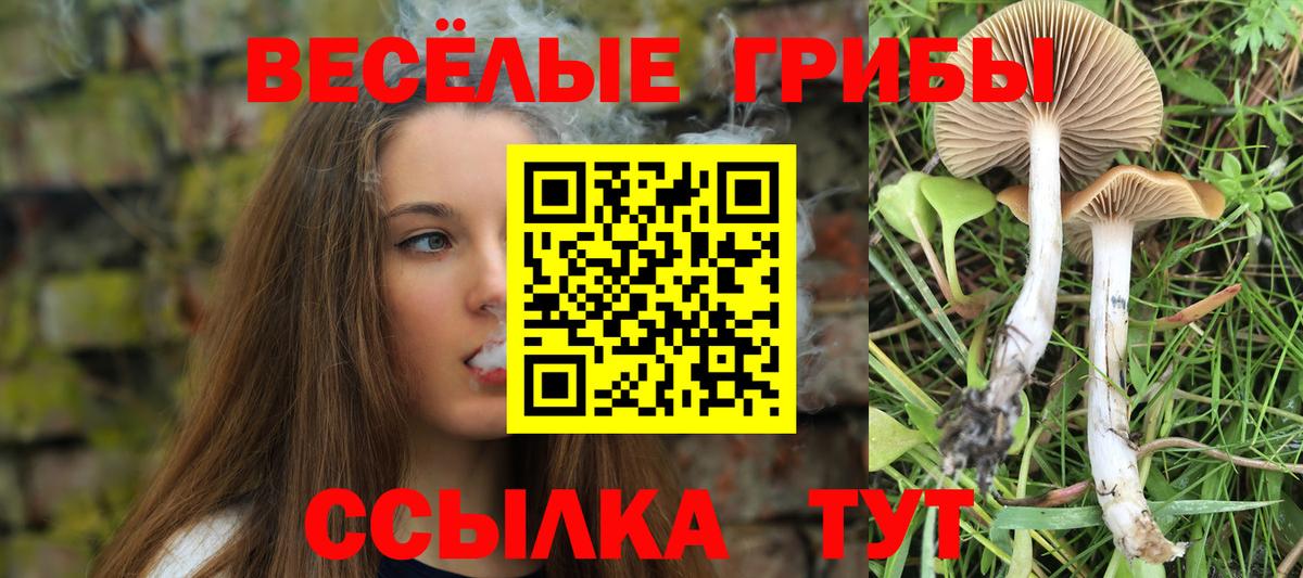 Псилоцибиновые грибы Magic Shrooms  Вход с VPN  Зима  Галлюциногенные грибы прущие грибы 